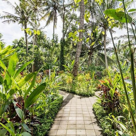 Rama Gaia Villa Ubud מראה חיצוני תמונה